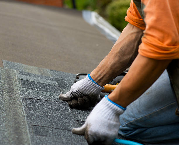 Best Gutter Installation and Roofing  in Stevenson, AL