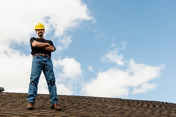 Best Roof Gutter Cleaning  in Stevenson, AL