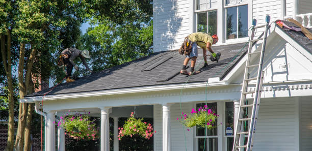 Professional Roofing Contractor in Stevenson, AL